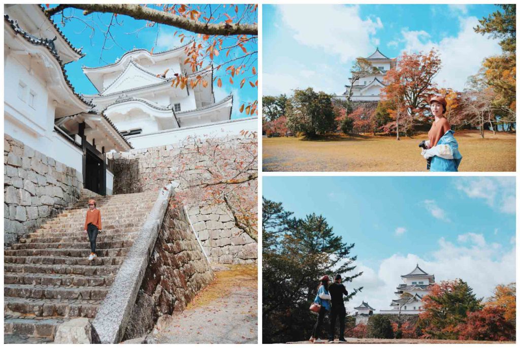 Iga Ueno Castle ปราสาทอิงะ